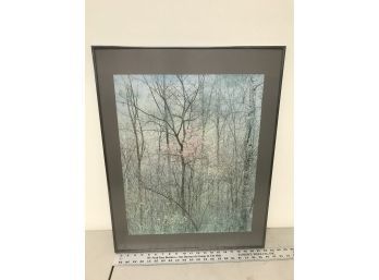 Framed Print Of Trees 28 X 22