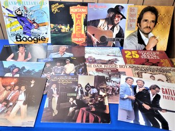 Lot 261B - Vintage Record Collection - 15 Albums