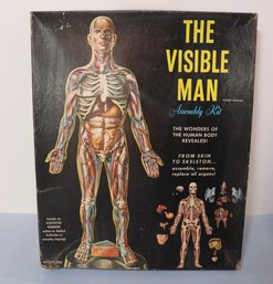Lot 501- 1959 Visible Man Model Assembly Kit - Renewal - Original Box