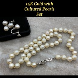 Lot 25- 14K Gold Cultured Pearl Necklace & Clip On Earrings Neptune In Original Box