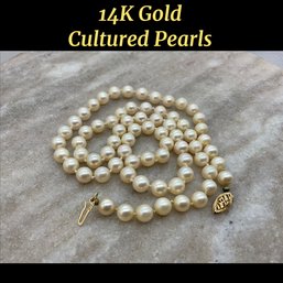 Lot 54- 14K Gold & Pearls Necklace- Stunning!