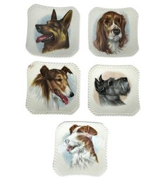 Lot 318- Royal Adderley Bone China - 5 Small Plates - Made In England - Collie - Shepherd - Spaniel - Scotty