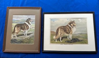 Lot 343- Lot Of 2 Framed Lithos Collie Dogs - Sandy Balmoral Mac Tavish - Lassie