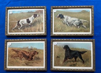Lot 348- Early 1900s 4 Hunting Dogs In Antique Frames Arnolt Artist - Irish English Gorden Setter - Pointer -