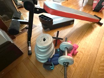 Lot 297 - Exercise Gym Lot - Dumbbells Weights, Ab Bench, Step Up