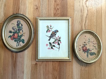 Lot 360 - Antique Frames - Nature Art - Birds - Marlin - Florals - Gild Gilt Frame