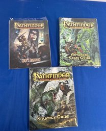 Lot 393 - 3 Pathfinders Roleplaying Strategy Guides - Advanced Class Guide