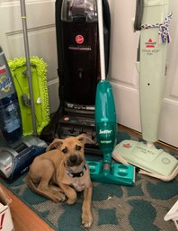 Lot 2A- Puppy Not Included! Swiffer Hoover Vacuum Bissell Steam Mop Flip It Hard Floor - 4