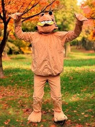 Lot 30- 1978 100% Pure Garfield The Cat Halloween Costume - Adult Small