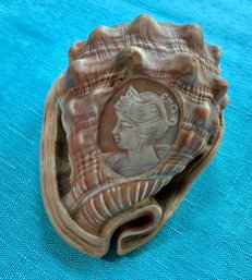 Lot 18- Amazing Large Shell With Hand Carved Cameo - Gorgeous!