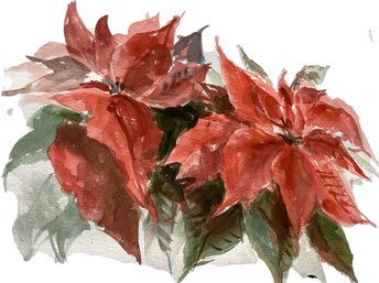 Lot 123SES- Hand Painted Watercolor Poinsettia Flower Painting - Christmas Decor