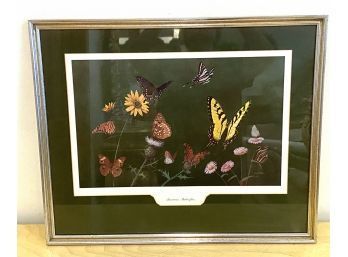 Lot 264 -  American Butterflies Print Framed 25x20