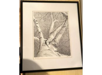 Lot 261 - 'Birches' Etching Litho Signed And Numbered - Framed 91x22 By E. Rising 223/250