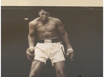 Lot 64- Muhammad Ali The Greatest Boxer Picture Photo?  Knock Out 16 Inches X 20 Inches