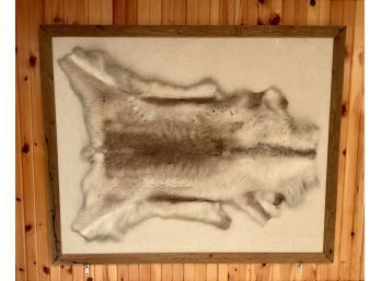 Lot 158- Mounted Reindeer Animal Pelt Norway