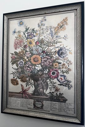 Robert Furber 12 Months Of Flowers 'November' Framed Print