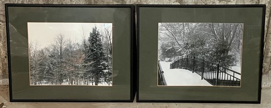 Snowy Forest Framed Prints - 2 Total