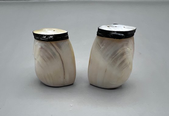 Salt & Pepper Shakers Made From Sea Shells