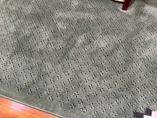 Green Spotted Area Carpet