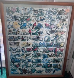 State Birds Framed Puzzle