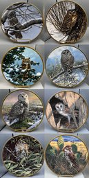 Spode HAMILTON COLLECTION  Boxed Noble Owls Of America  - 8 Piece
