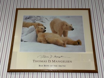 Thomas D. Mangelsen Framed Print - Bad Boys Of The Arctic