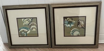 Decorative Seashell Framed Prints - 2 Total