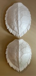 Decorative Resin Turtle Shell Wall Decor - 2 Total