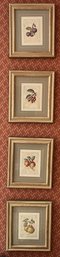 Decorative Fruit Pattern Framed Prints - 4 Total