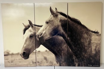 Signed Joani White 3 Piece Canvas Horse Prints - 3 Total