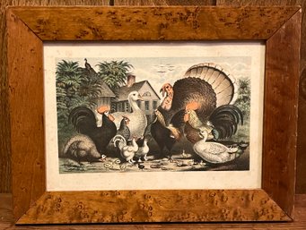 1880 Illustrated Color Page Framed Print - Domestic Poultry