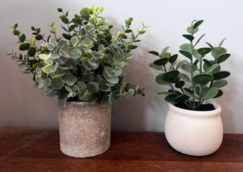 Faux Eucalyptus Plants- Pair