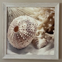 Decorative Seashell Pattern Framed Canvas Prints - 3 Total
