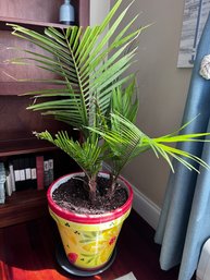 Majesty Palm Live Houseplant In Ceramic Pot