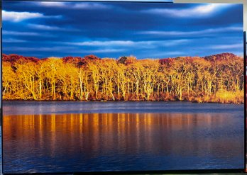 Fall Trees On The Pond Professional Photograph On Stretched Canvas By Jacqueline Taffe
