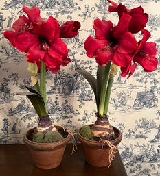 Decorative Faux Orchids With Terracotta Pots - 2 Total