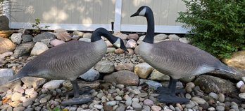 Clinton Decoy 1985 Hollow Plastic Geese - 2 Total