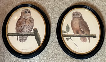 E.A. RIBA Co. Owl Framed Prints - 2 Total