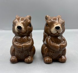 Hand Painted Ceramic Squirrel Shaped Salt And Pepper Shakers - 2 Total