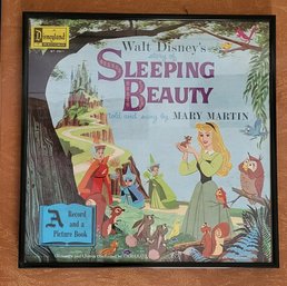 1958 Walt Disney Productions - Story Of Sleeping Beauty Storybook With Vinyl Record Framed