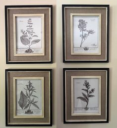Uttermost Floral Framed Prints - 4 Total