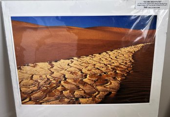 Patty Hinz 'Scorched Path' Print With COA 5/100