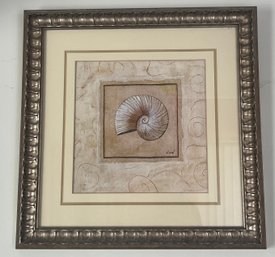 Decorative Seashell Framed Prints - 2 Total