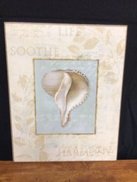 Seashell Picture -( From Home Goods ). 10in Tall X 8in Long
