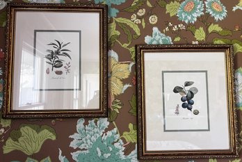 Amande Des Dames & Monsieur Hatif Plum Framed Lithographs- Set Of 2