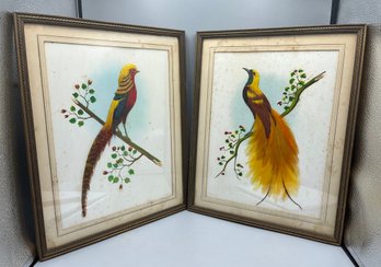 Handcrafted Fine Feather Art Framed - 2 Total - Bird Of Paradise / Golden Pheasant