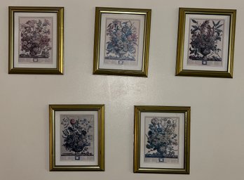 Decorative Floral Framed Prints - 5 Total