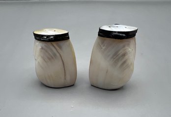Salt & Pepper Shakers Made From Sea Shells