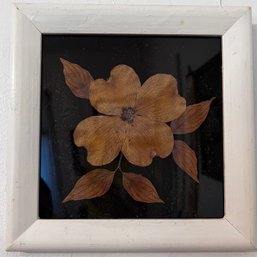 Framed Dried Flower