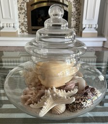 Decorative Glass Centerpiece Bowl With Assorted Seashells